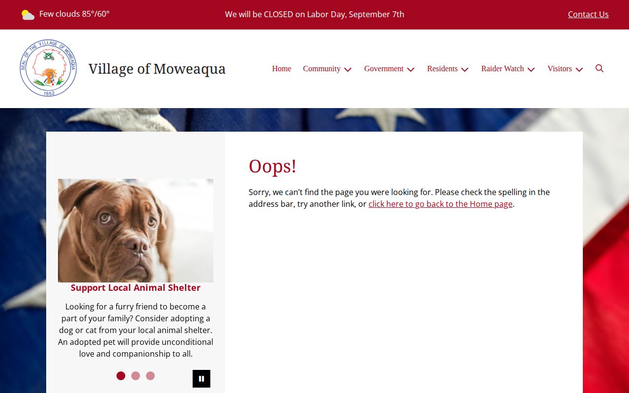 Village of Moweaqua Police Department information page